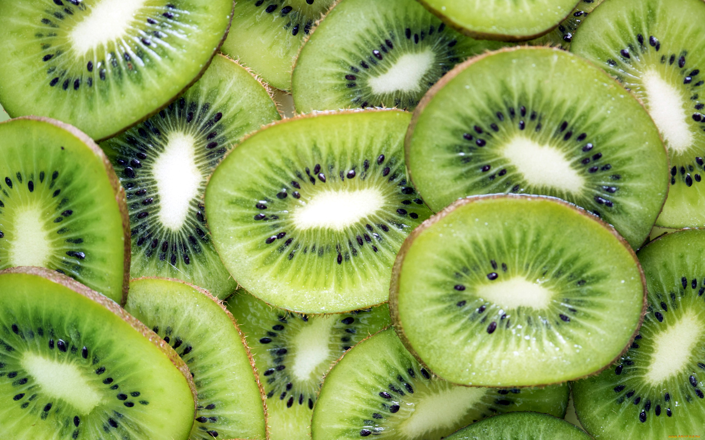 , , , 